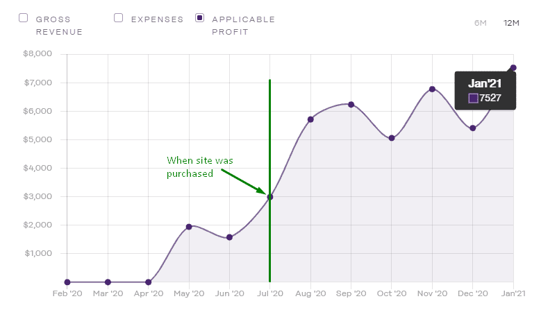 graph showing revenue of a flipped website